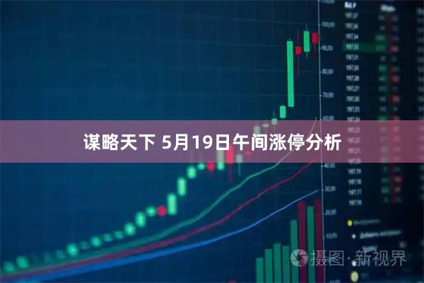 谋略天下 5月19日午间涨停分析