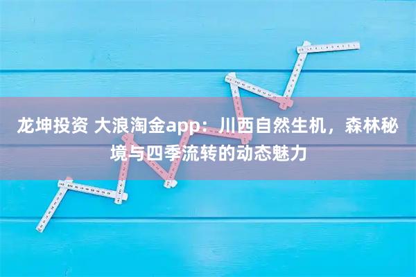 龙坤投资 大浪淘金app：川西自然生机，森林秘境与四季流转的动态魅力